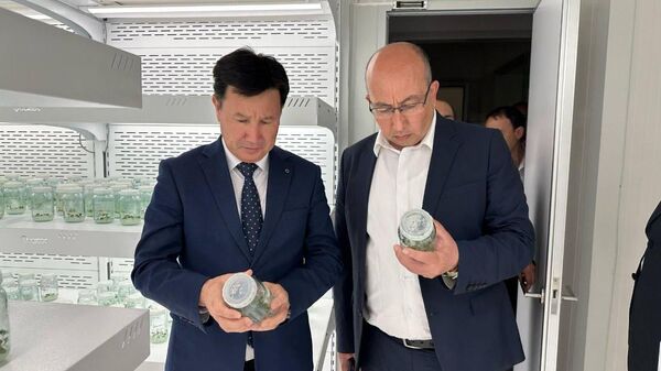 Ученые Узбекистана и Азербайджана налаживают сотрудничество в области овощеводства - Sputnik Ўзбекистон
