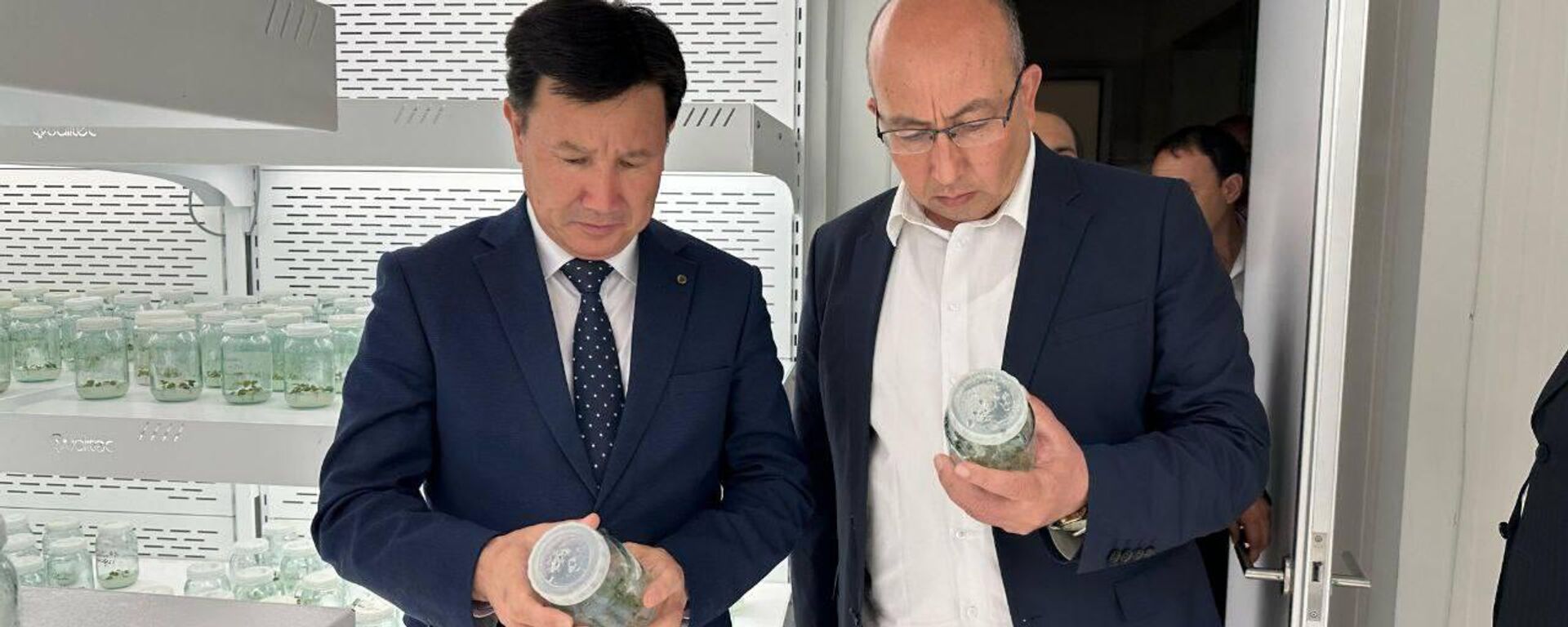 Ученые Узбекистана и Азербайджана налаживают сотрудничество в области овощеводства - Sputnik Ўзбекистон, 1920, 05.05.2025