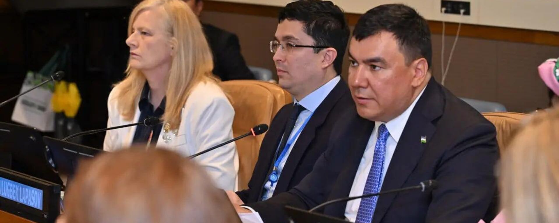 Узбекистан представил в ООН инициативу по глобальному лесовосстановлению и устойчивому управлению лесами - Sputnik Ўзбекистон, 1920, 10.05.2025