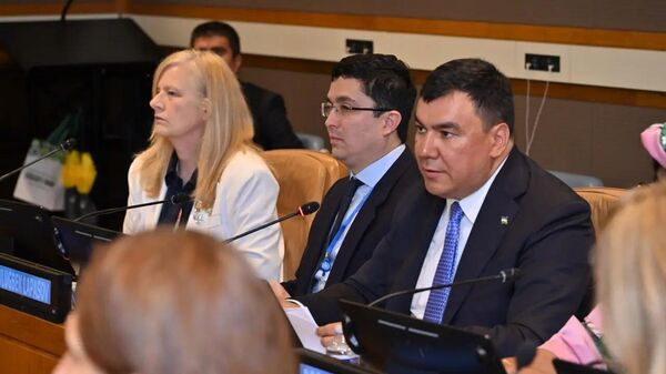 Узбекистан представил в ООН инициативу по глобальному лесовосстановлению и устойчивому управлению лесами - Sputnik Ўзбекистон