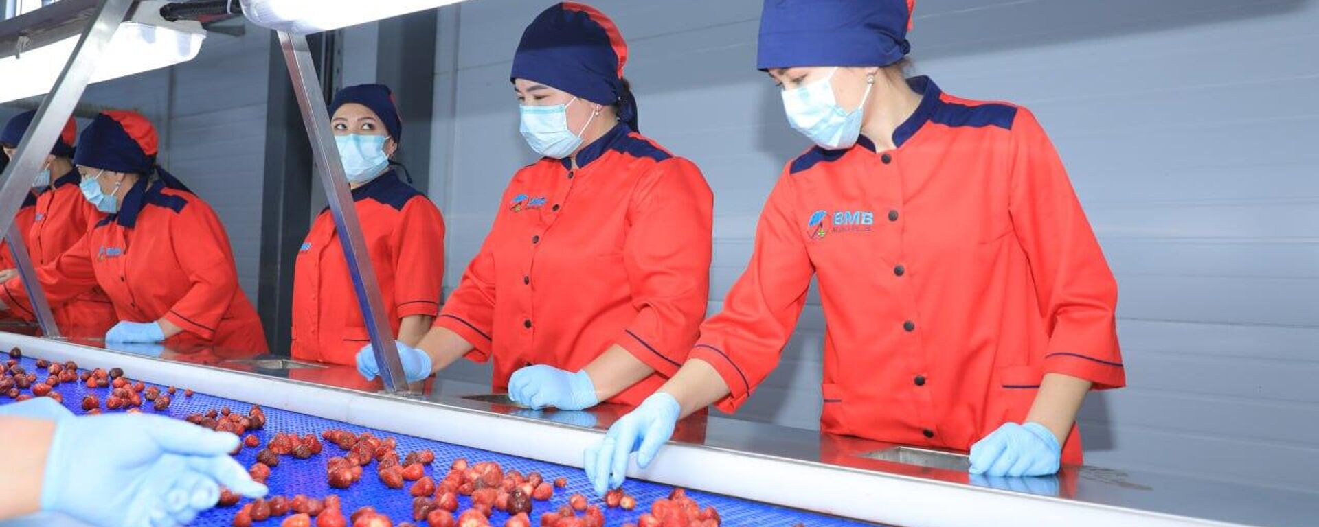 В Джизакской области открылся новый завод по переработке плодоовощной продукции. - Sputnik Узбекистан, 1920, 10.05.2025