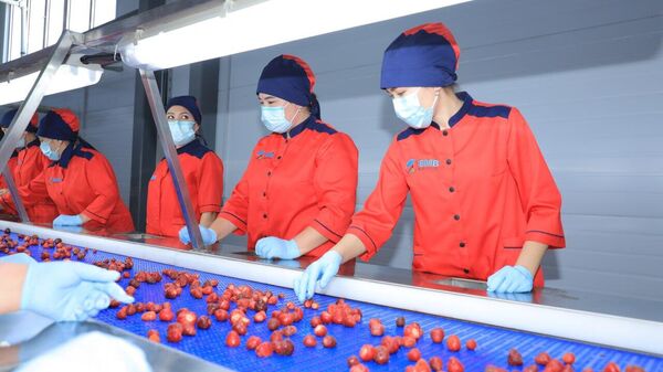 В Джизакской области открылся новый завод по переработке плодоовощной продукции. - Sputnik Узбекистан