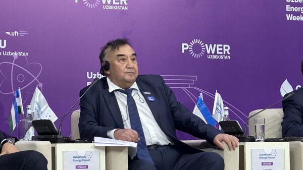 Борий Алиханов рассказал о перспективах водородной энергетики Узбекистана  - Sputnik Ўзбекистон