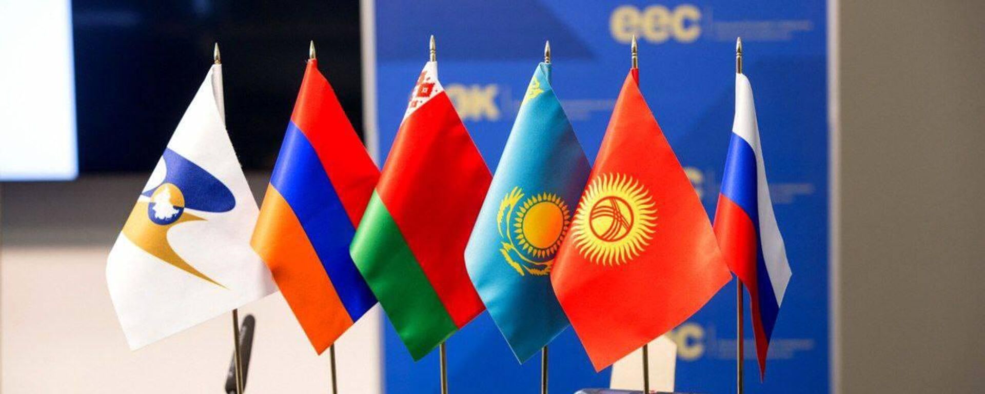 Флаги государств-членов Евразийского экономического союза (ЕАЭС)  - Sputnik Узбекистан, 1920, 06.06.2025