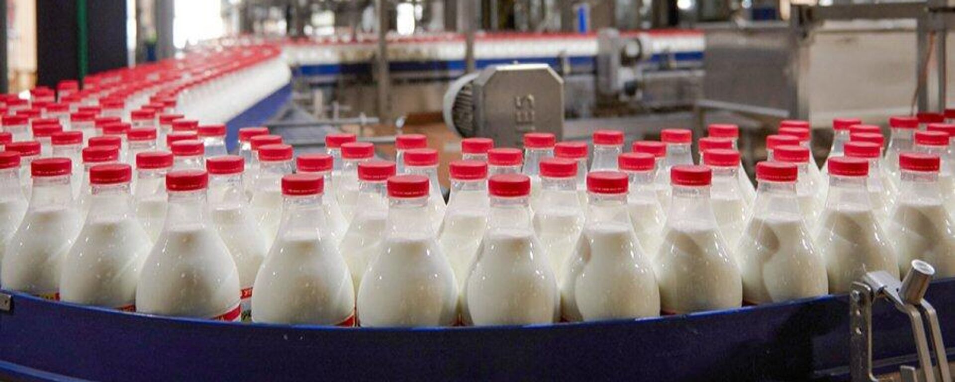 Конвейер молочной продукции - Sputnik Узбекистан, 1920, 16.05.2025