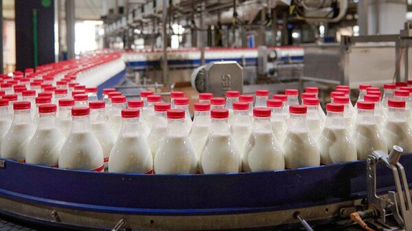 Конвейер молочной продукции - Sputnik Узбекистан