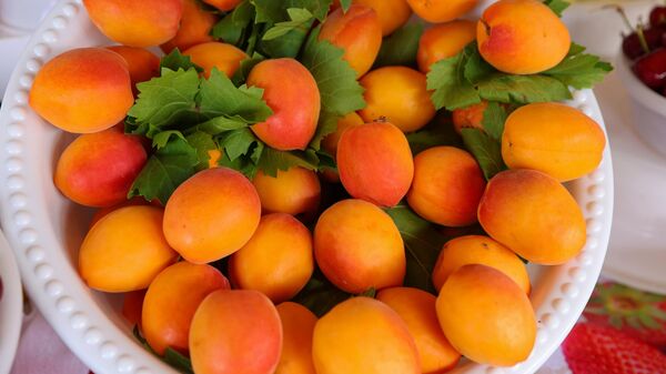 Абрикосы  - Sputnik Узбекистан
