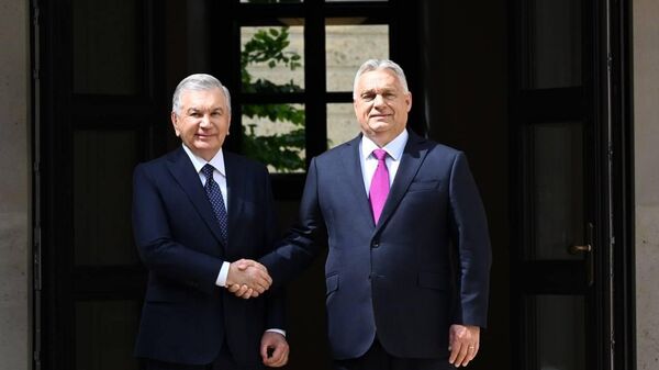 Во Дворце Кармелита состоялись переговоры Президента Республики Узбекистан Шавката Мирзиёева и Премьер-министра Венгрии Виктора Орбана в узком формате и с участием официальных делегаций. - Sputnik Узбекистан