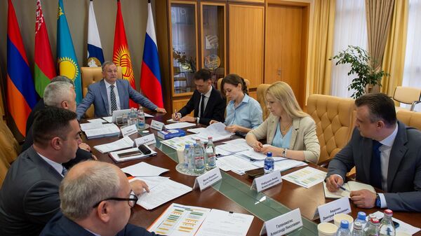 В ЕЭК обсудили готовность стран ЕАЭС к началу применения навигационных пломб - Sputnik Узбекистан