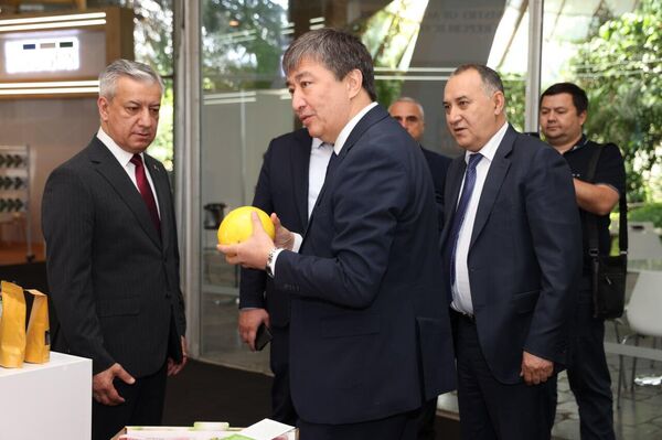В Тбилиси открылась выставка национальной продукции Made in Uzbekistan. В Тбилиси открылась выставка национальной продукции Made in Uzbekistan. - Sputnik Узбекистан
