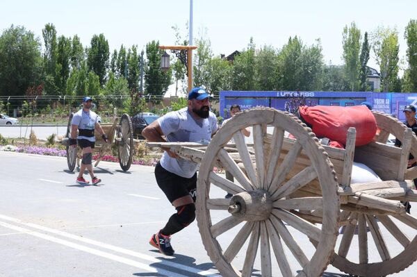 В Хиве стартовал турнир силачей Pahlavon Mahmud - strongmen games В Хиве стартовал турнир силачей Pahlavon Mahmud - strongmen games - Sputnik Узбекистан