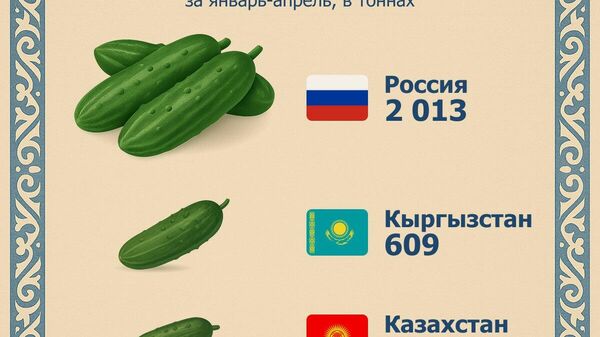 Россия - главный покупатель узбекских огурцов среди стран ЕАЭС - Sputnik Узбекистан