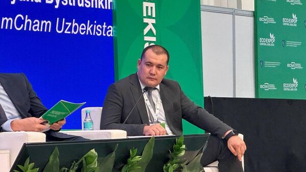 Развитие атомной энергетики будет иметь положительный эффект для экономики Узбекистана - Sputnik Узбекистан
