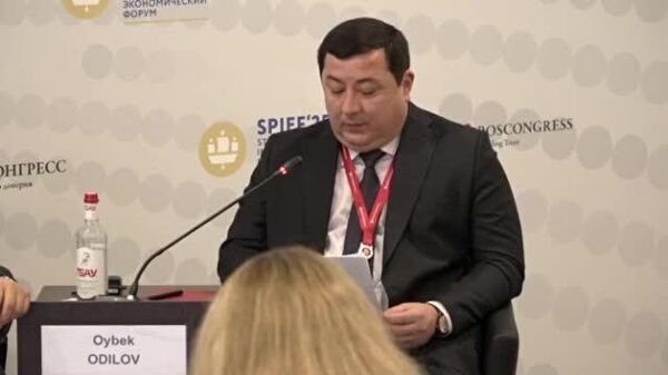 На полях ПМЭФ обсудили вопросы трудовой миграции - Sputnik Узбекистан