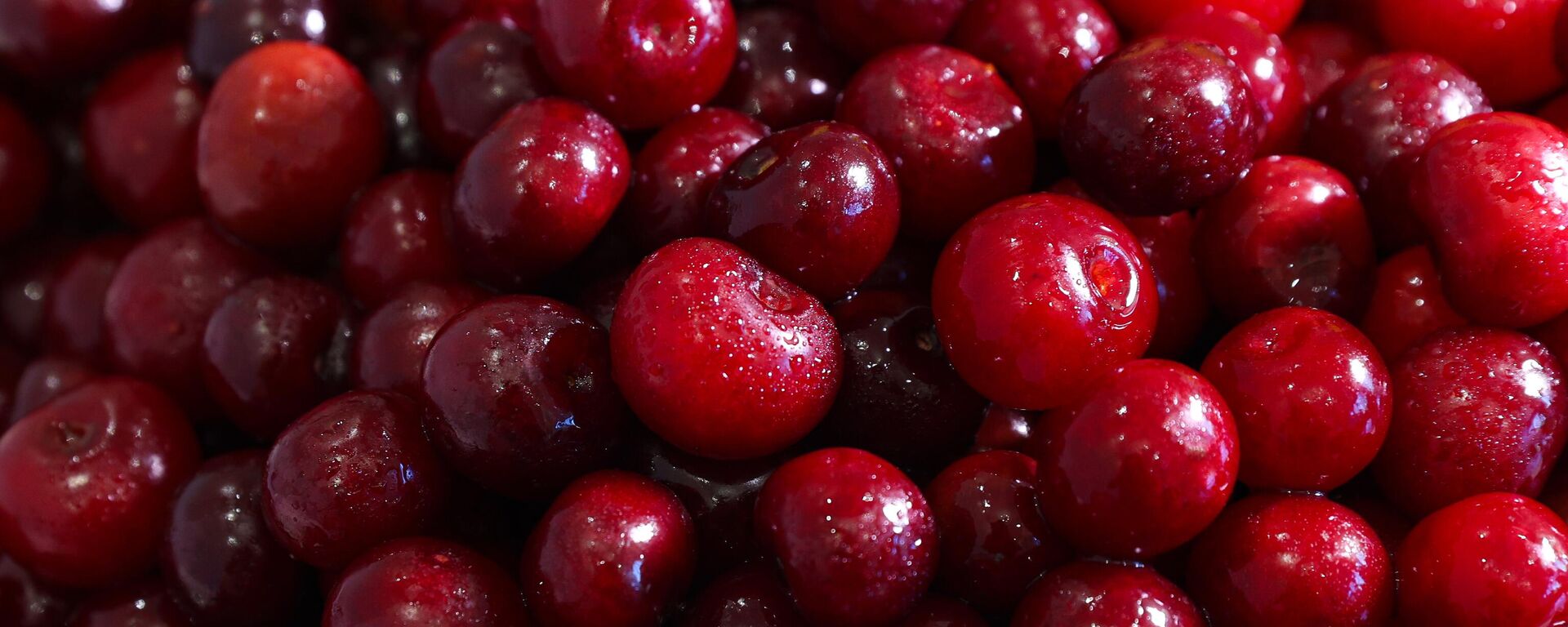 Вишня - Sputnik Узбекистан, 1920, 19.04.2026