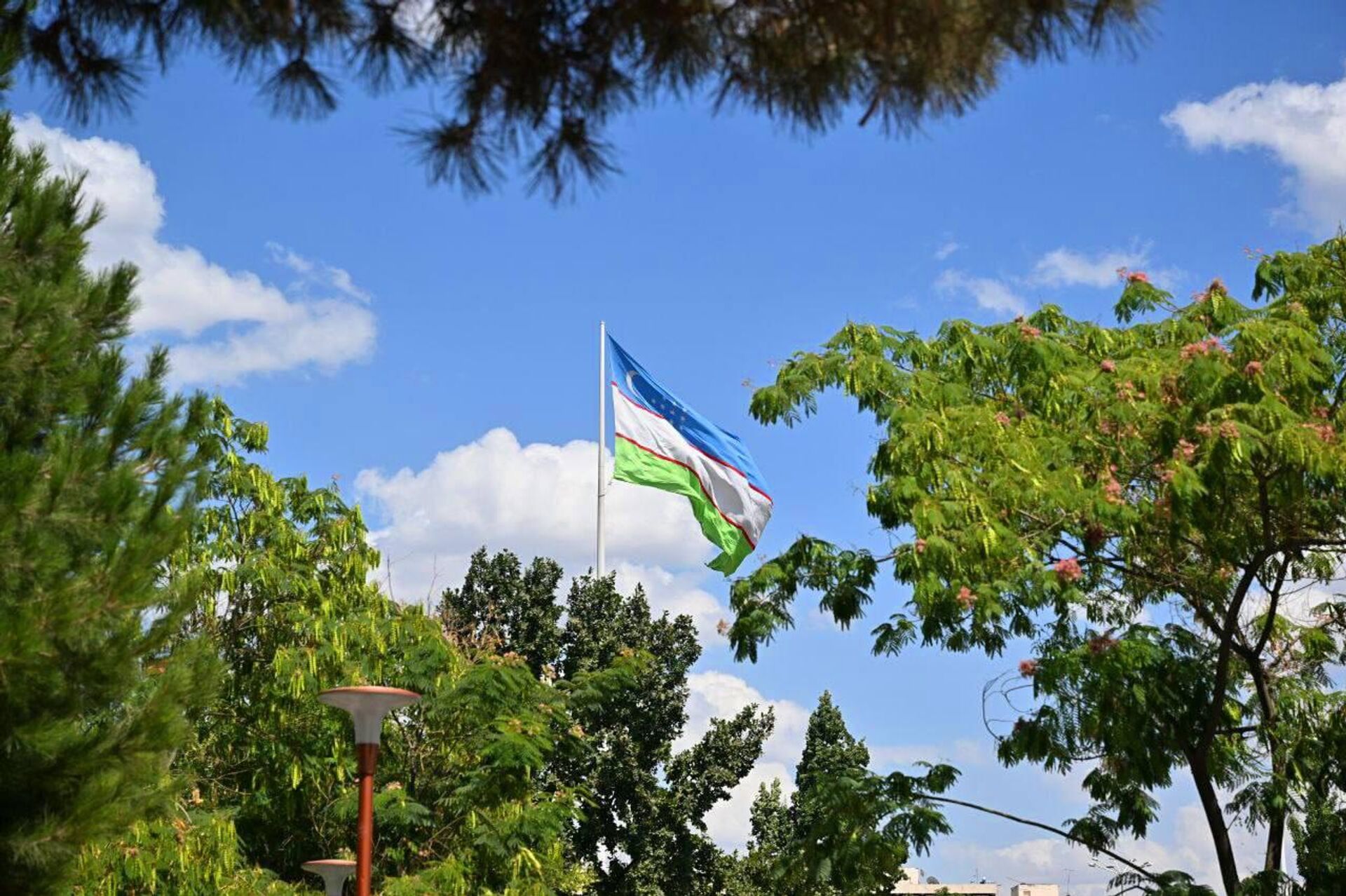 Президент Шавкат Мирзиёев знакомится с ходом созидательной работы, условиями жизни населения и деятельностью промышленных предприятий в городе Ташкенте. Президент Шавкат Мирзиёев знакомится с ходом созидательной работы, условиями жизни населения и деятельностью промышленных предприятий в городе Ташкенте. - Sputnik Узбекистан, 1920, 10.07.2025