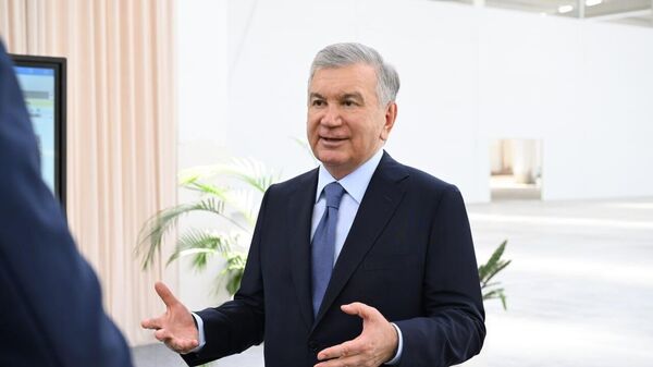 Президенту Узбекистана представили дополнительные возможности Джизакской области - Sputnik Ўзбекистон