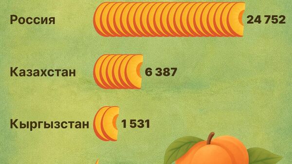 Россия стала крупнейшим покупателем узбекских персиков среди стран ЕАЭС - Sputnik Узбекистан