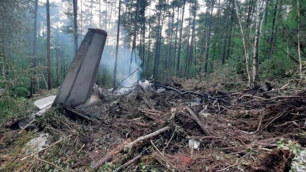 Место крушения пассажирского самолета Ан-24 в Амурской области. - Sputnik Узбекистан