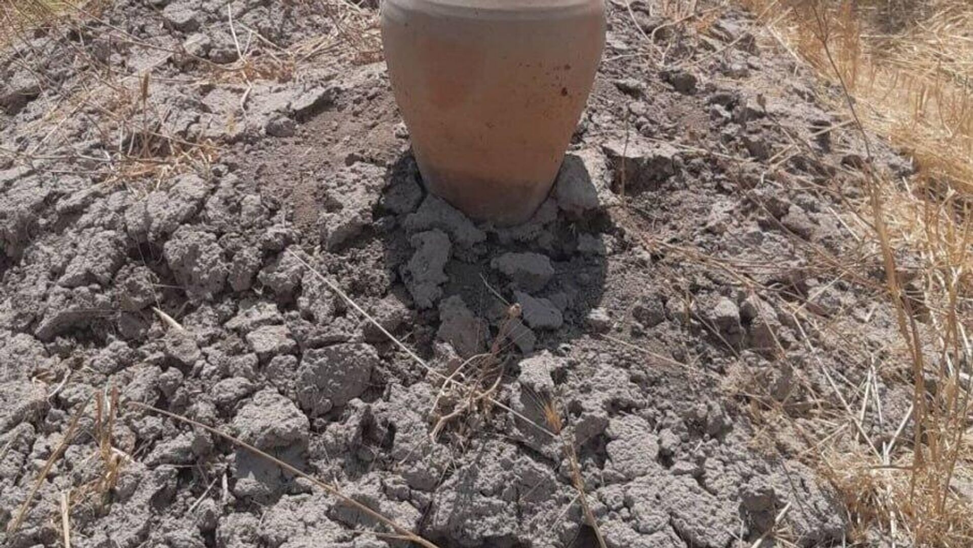 В Узбекистане во время археологических раскопок нашли древние артефакты В Узбекистане во время археологических раскопок нашли древние артефакты - Sputnik Узбекистан, 1920, 25.07.2025