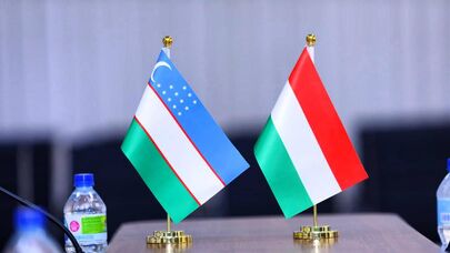 Флаги Узбекистан и Венгрия