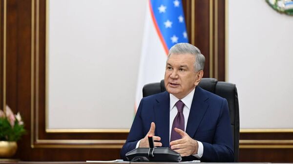 В Узбекистане коррупционные схемы все еще есть в хокимиятах, службах кадастра, банках и налоговых органах - Sputnik Узбекистан