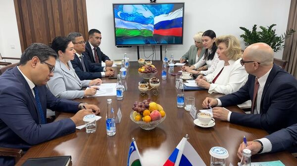 Уполномоченные по правам человека Узбекистана и России обсудили вопросы укрепления сотрудничества в сфере защита прав человека  - Sputnik Ўзбекистон