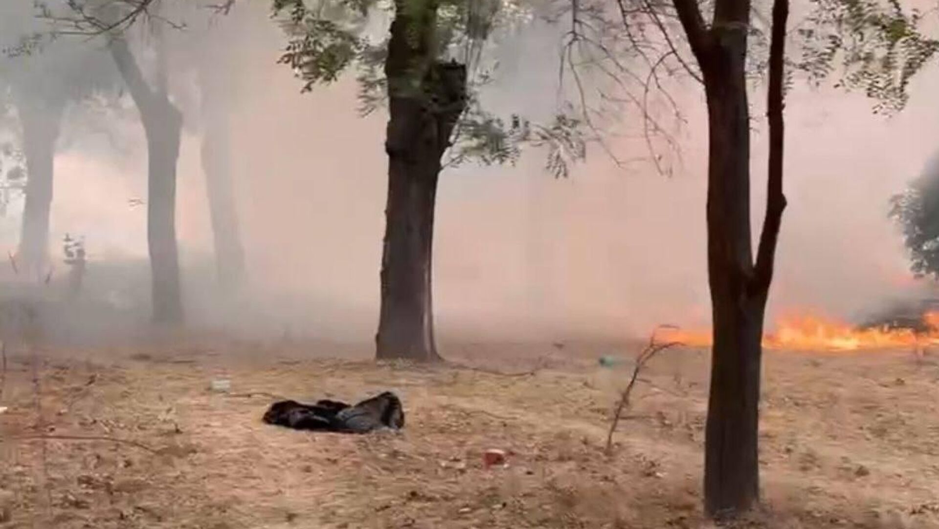 🟠 Пожар произошел недалеко от Ташкентского аэропорта 🟠 Пожар произошел недалеко от Ташкентского аэропорта - Sputnik Узбекистан, 1920, 01.08.2025