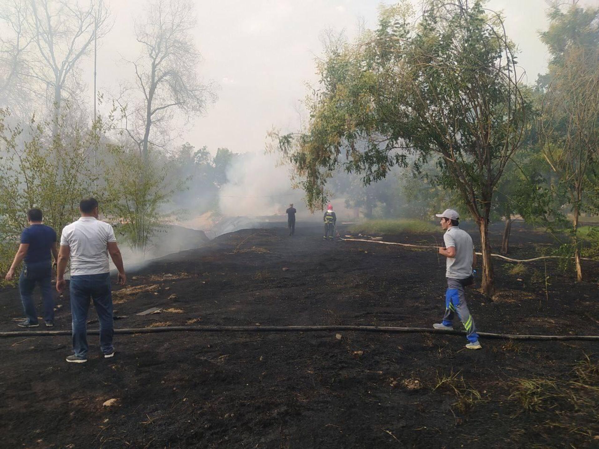 🟠 Пожар произошел недалеко от Ташкентского аэропорта 🟠 Пожар произошел недалеко от Ташкентского аэропорта - Sputnik Узбекистан, 1920, 01.08.2025