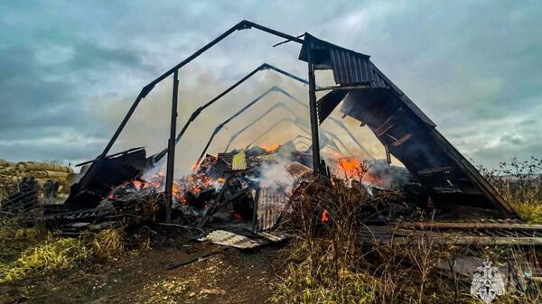 В РФ подросток сжег ангар и 180 тонн сена - Sputnik Узбекистан