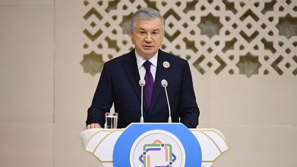Шавкат Мирзиёев рассказал об инициативах, которые выдвинет Узбекистан на предстоящем саммите глав государств Центральной Азии - Sputnik Узбекистан