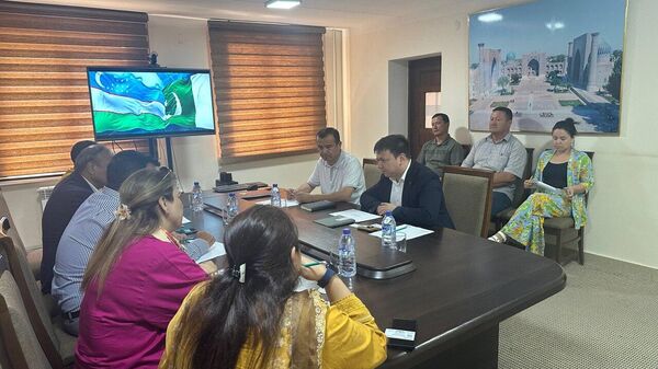 Самаркандская область отправит овечьи шкуры в Пакистан для тестовой обработки - Sputnik Узбекистан