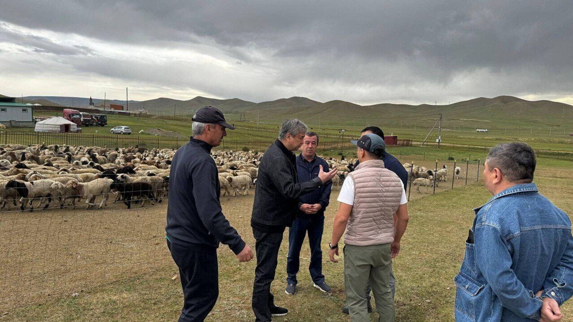 До конца октября в Узбекистан привезут 50 тыс До конца октября в Узбекистан привезут 50 тыс - Sputnik Узбекистан, 1920, 16.08.2025