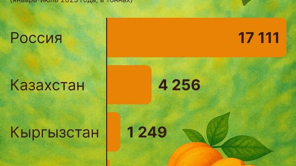 За семь месяцев 2025 года Узбекистан экспортировал абрикосы на $18,8 - Sputnik Узбекистан