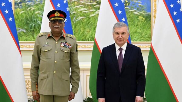 Президент Узбекистана принял делегацию Пакистана
 - Sputnik Узбекистан