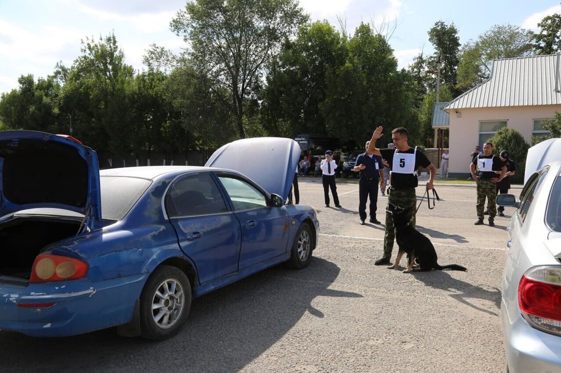 Кинологи Узбекистана заняли второе место на соревнованиях СНГ в Бишкеке - Sputnik Узбекистан, 1920, 20.08.2025