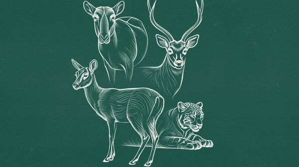 Узбекистан объявил официальный слоган конференции CITES CoP20 - Sputnik Узбекистан