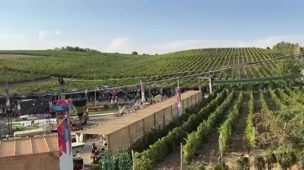 Сотни гостей собрались на международном фестивале винограда и виноделия Узум сайли в Паркентском районе Ташобласти - Sputnik Узбекистан