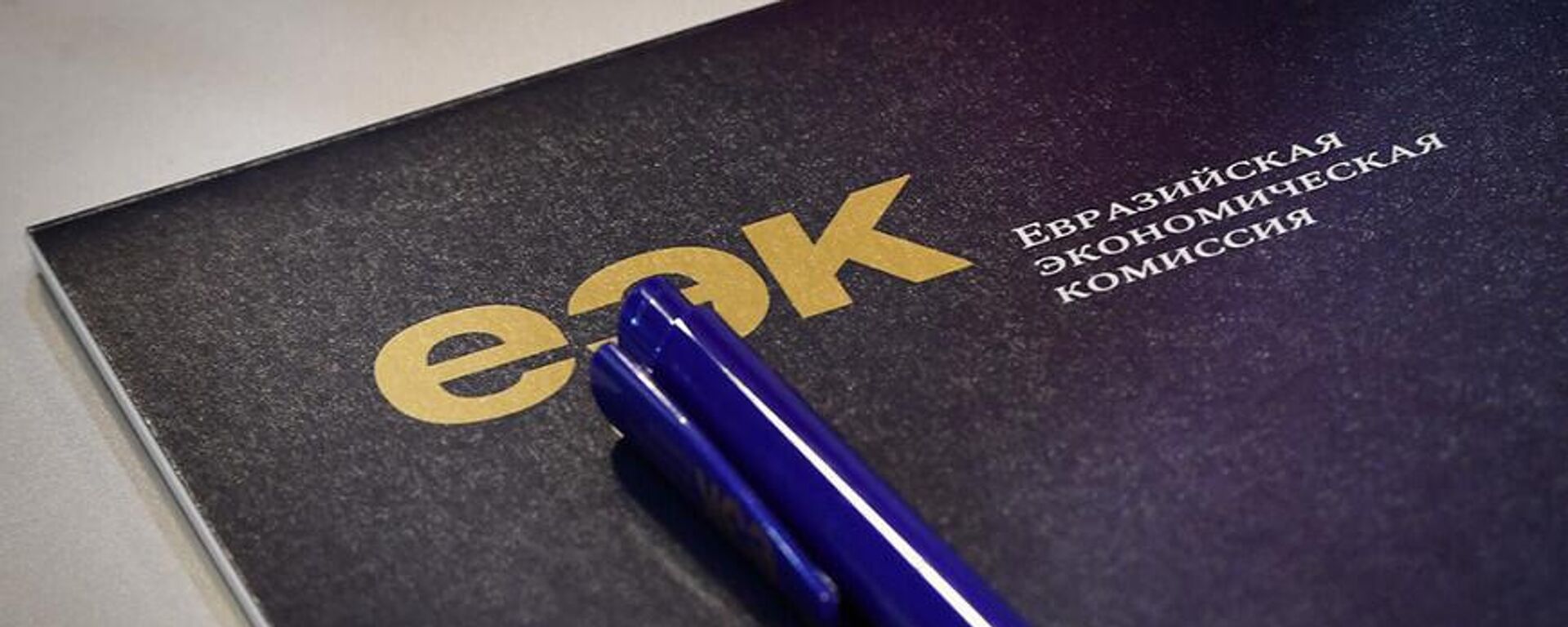 Евразийская экономическая комиссия (ЕЭК) - Sputnik Узбекистан, 1920, 24.01.2026