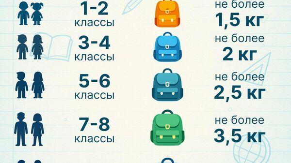 Сколько килограммов должен весить портфель школьника в Узбекистане? - Sputnik Узбекистан
