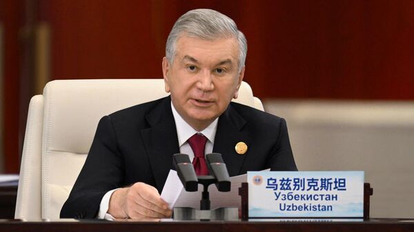 Президент Узбекистана Шавкат Мирзиёев принял участие в очередном заседании Совета глав государств-членов ШОС в городе Тяньцзине - Sputnik Ўзбекистон