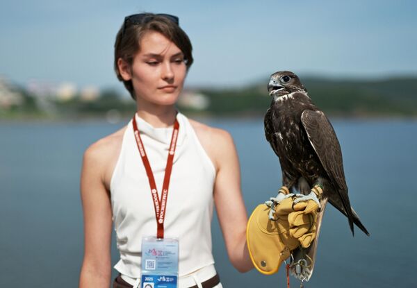 Владивостокда Шарқий иқтисодий форум - Sputnik Ўзбекистон