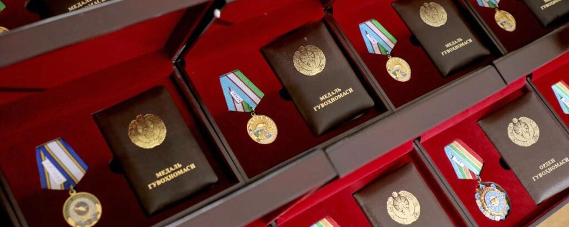 Nagrajdenie uchiteley medalyu - Sputnik O‘zbekiston, 1920, 11.11.2025