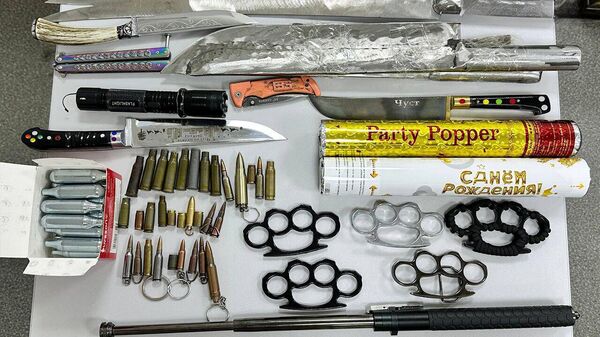 В аэропорту Ташкента с начала года изъято более 500 запрещенных предметов - Sputnik Узбекистан