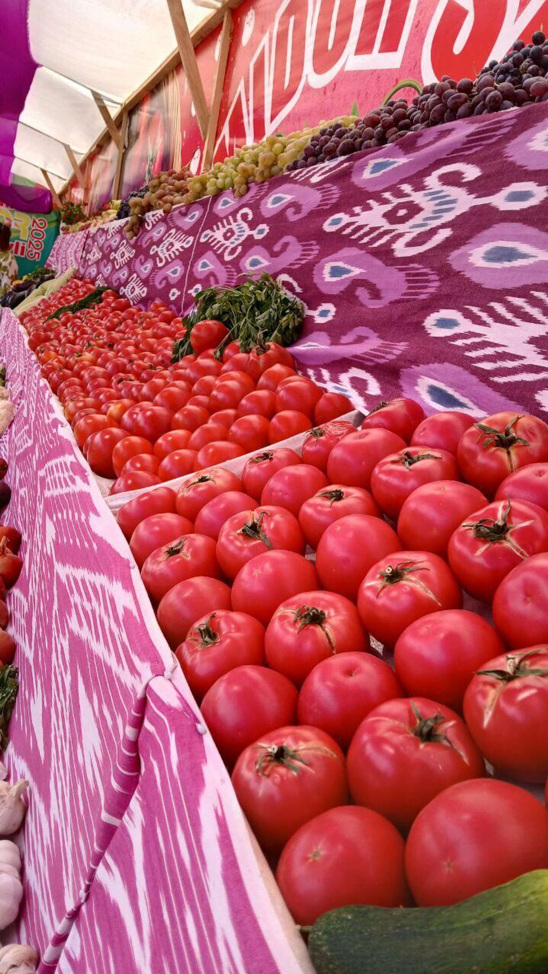 В Самарканде прошел необычный фестиваль, посвященный томатам - Sputnik Узбекистан, 1920, 15.09.2025