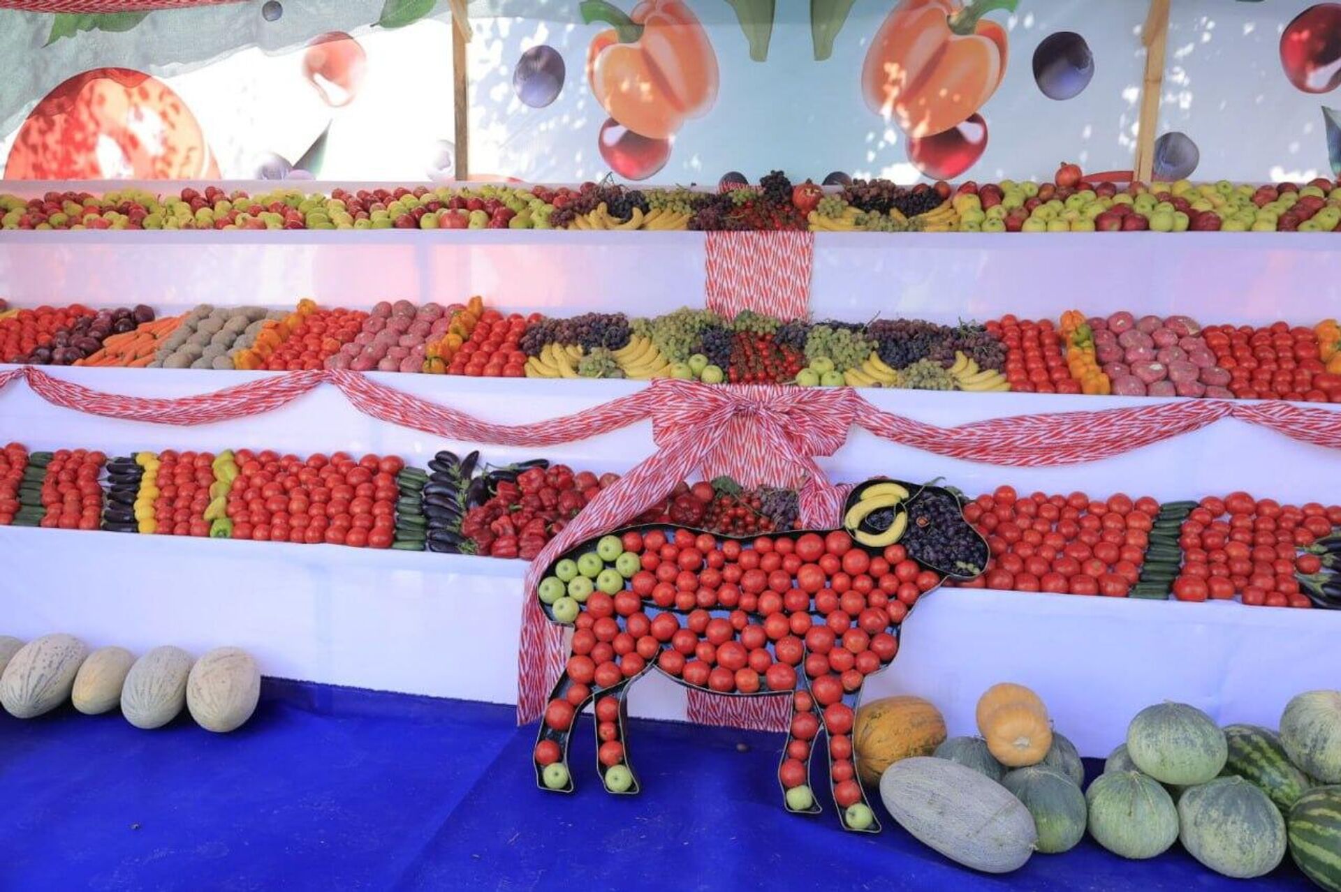 В Самарканде прошел необычный фестиваль, посвященный томатам - Sputnik Узбекистан, 1920, 15.09.2025