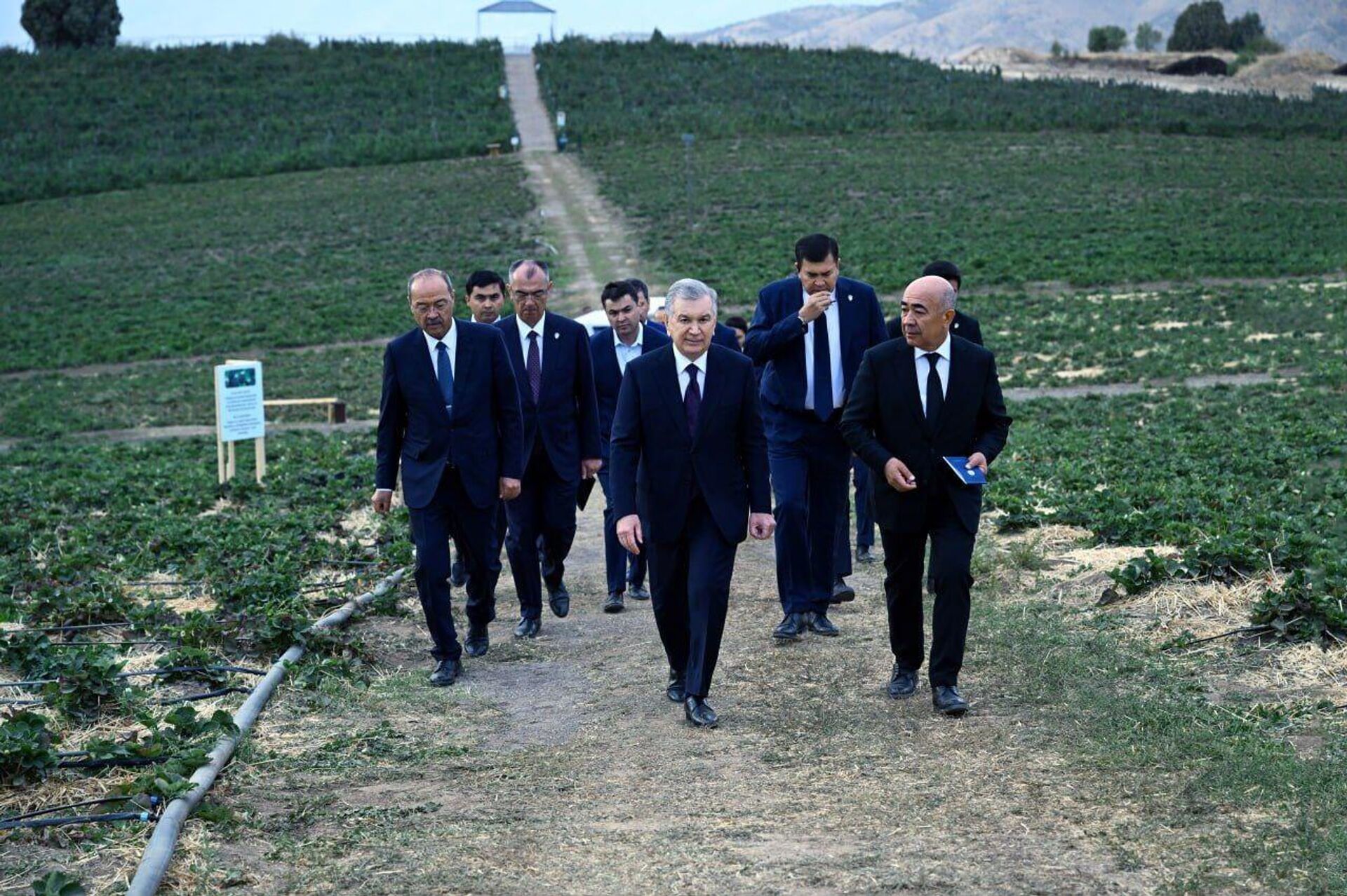 Мирзиёев посетил агропромышленный сад в Бостанлыкском районе - Sputnik Узбекистан, 1920, 15.09.2025