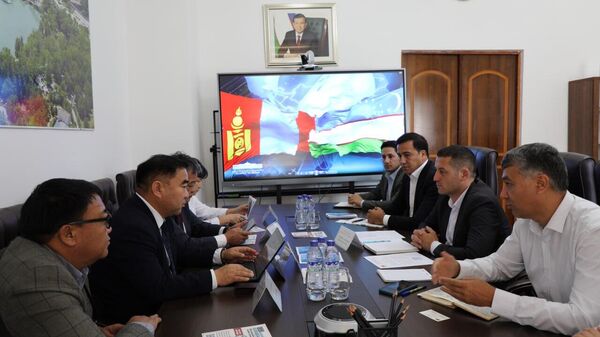 В Узбекистане наладят производство пряжи из шерсти монгольских овец - Sputnik Узбекистан