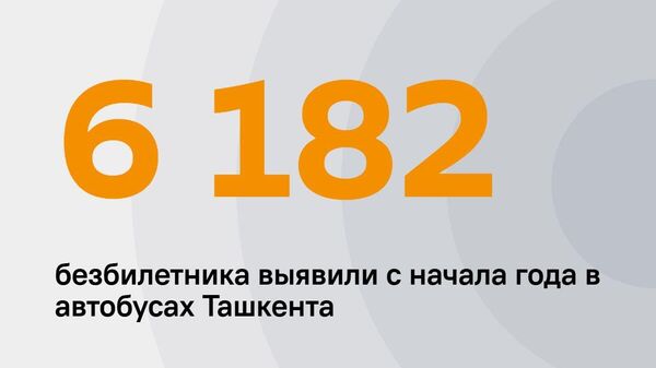 В Минтрансе напомнили, что инспекция по надзору в сфере транспорта продолжает проводить рейды и следит за оплатой проезда в автобусах Ташкента - Sputnik Узбекистан