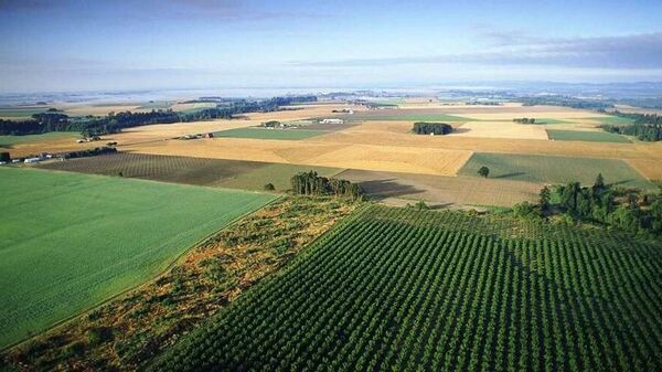 Сельскохозяйственные земли - Sputnik Ўзбекистон